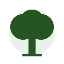 Großen Baum fällen